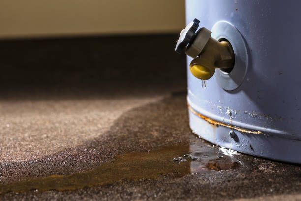 Best 24-hour water damage restoration  in Santee, SC
