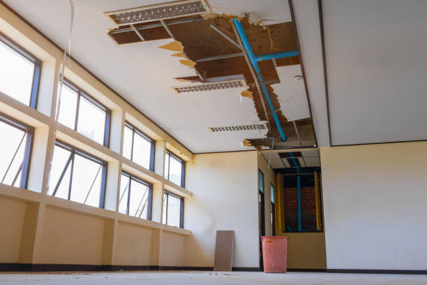 Best Water damage restoration near me  in Santee, SC