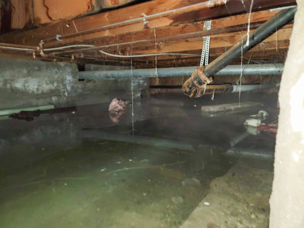Best Fire Damage Restoration  in Santee, SC