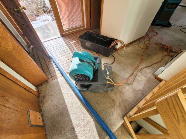 Best Commercial water damage restoration  in Santee, SC
