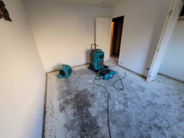 Reliable SC Water damage restoration Solutions