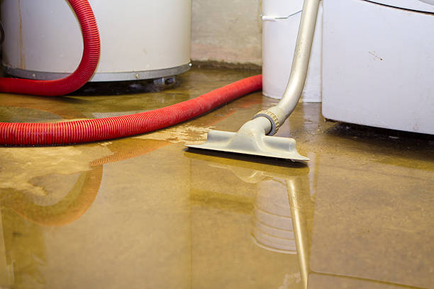 Water damage restoration process in SC