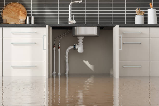 Best Local water damage restoration  in Santee, SC